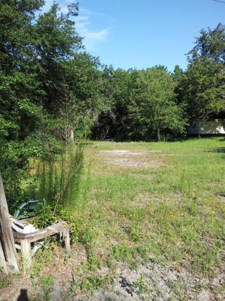 CHRISTMAS GARDENS 02