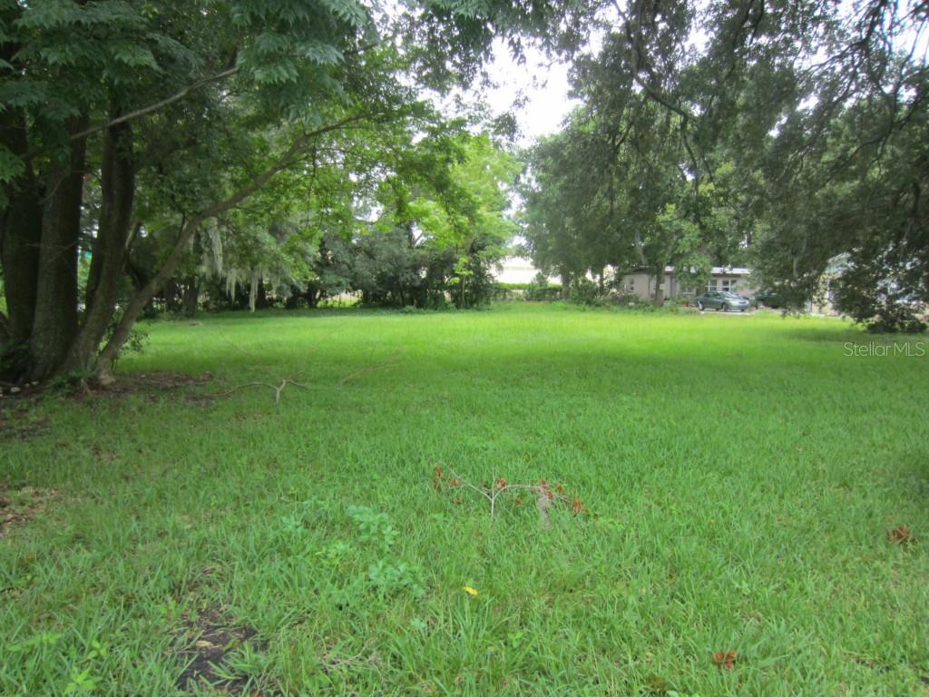 LAKE OLIVE HEIGHTS - фото