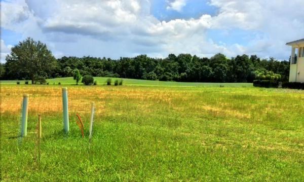 REUNION WEST VILLAGE 03A