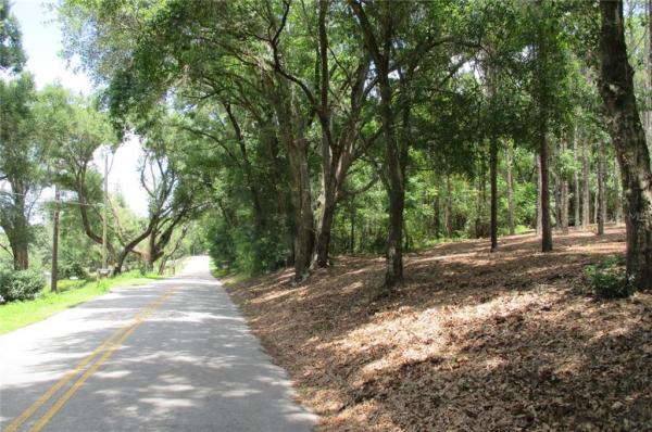 ROSE OF ELDORADO SUB