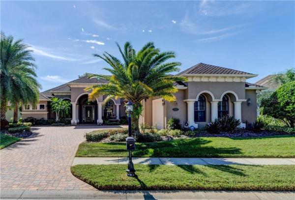 GREY HAWK AT LAKE POLO