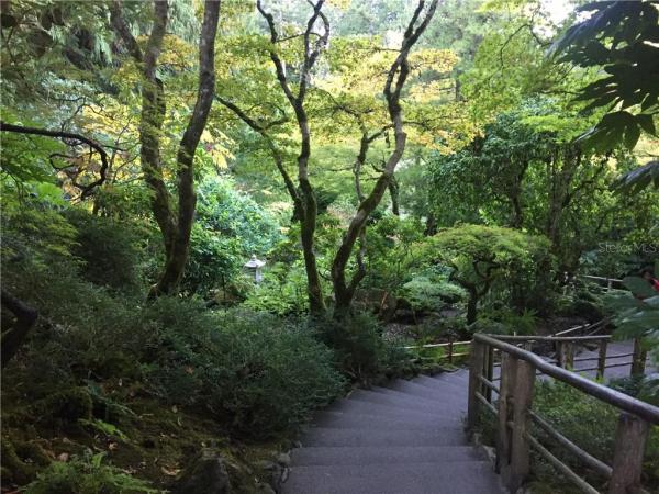 TAMPA TARPON SPGS LAND CO