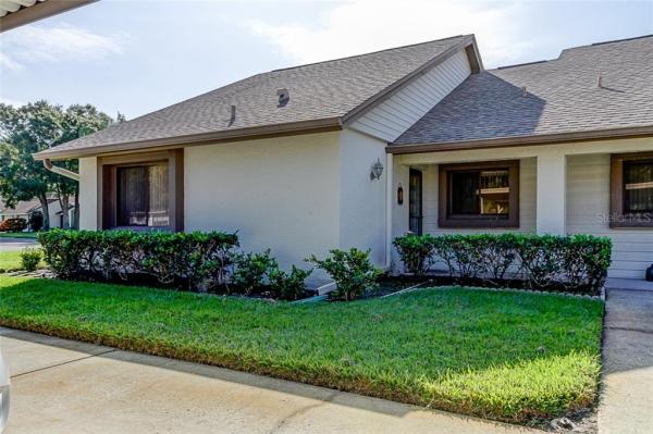 VILLAGE ON THE GREEN