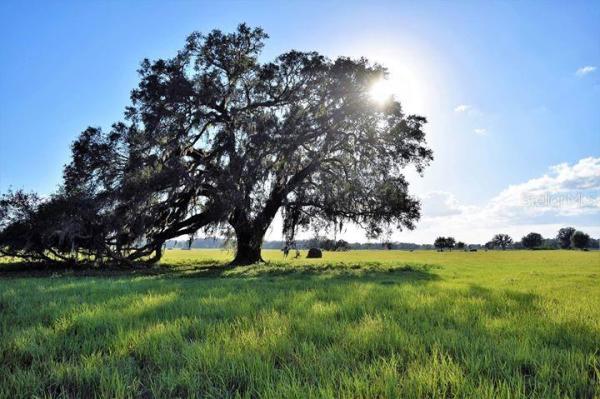 DIAMOND RANCH EQUESTRIAN ESTATES
