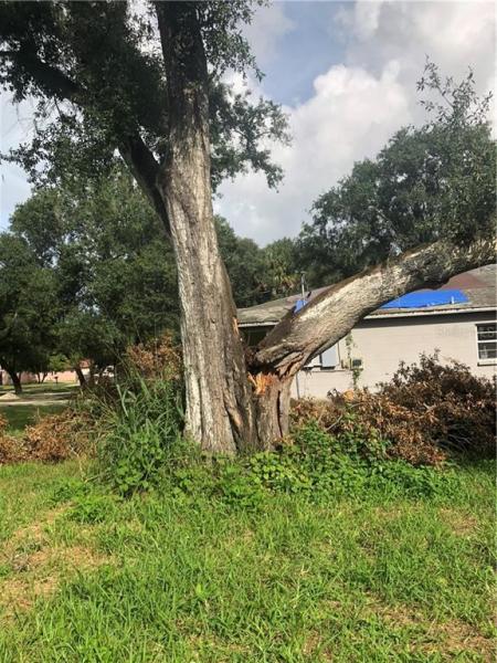 SOUTH TAMPA SUBISVISION