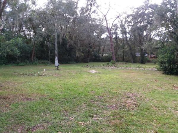 REEDS LIVINGSTON AVE MINOR SURV