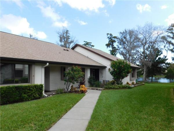 VILLAGE ON THE GREEN