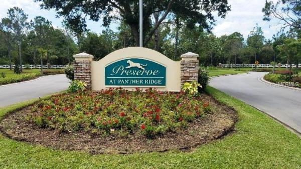 PRESERVE AT PANTHER RIDGE P IIA
