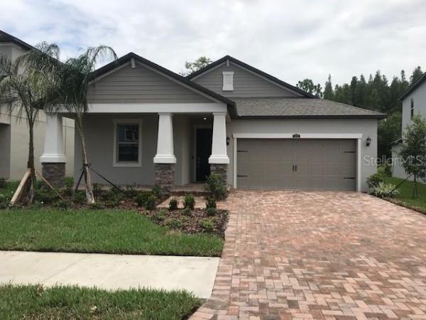 TAMPA PALMS- STAFFORD PLACE