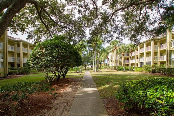 MEADOWLAKE PALM HARBOR CONDO