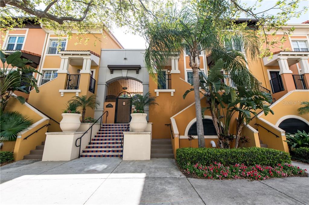 MADISON AT ST PETE - фото