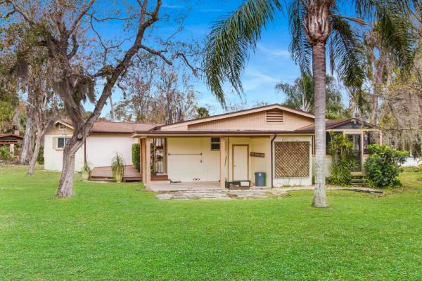 D R MITCHELLS SURV OF THE LEVY GRANT