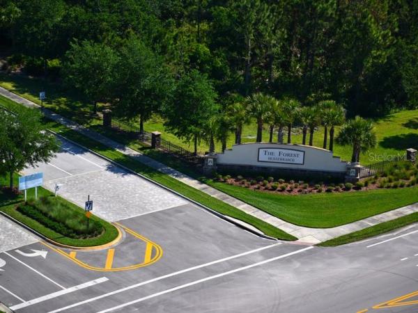 FOREST AT THE HI HAT RANCH