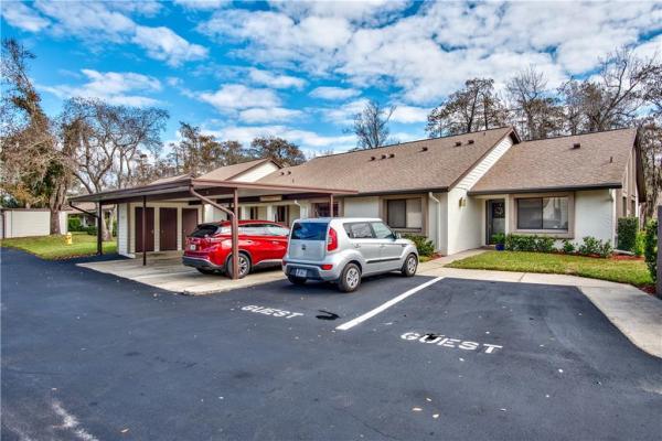 VILLAGE ON THE GREEN