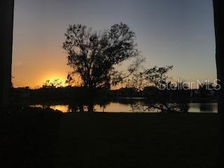 EAST LAKE WOODLANDS WOODLAKE RUN