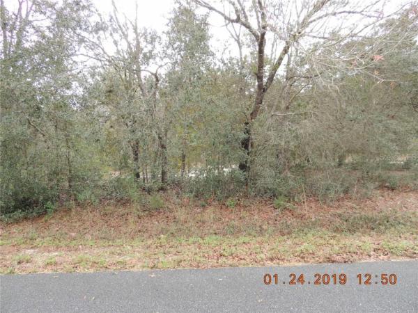 ORANGE BLOSSOM HILLS