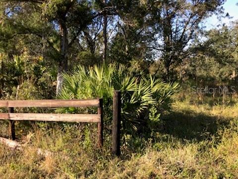 CHRISTMAS GARDENS 02