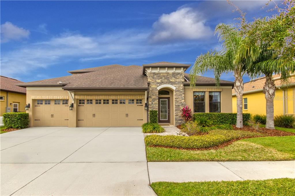 WATERGRASS - фото