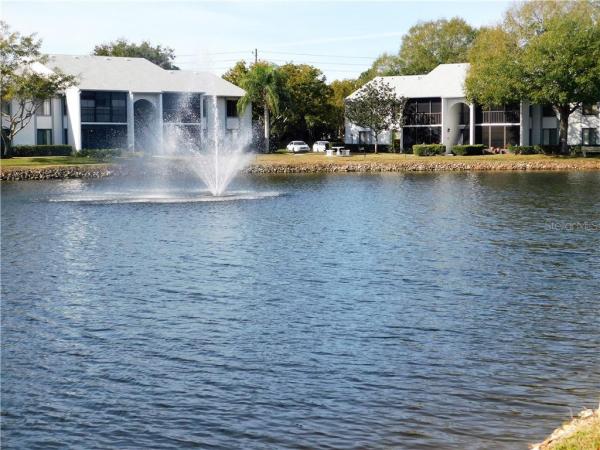 PINE RIDGE AT LAKE TARPON VILLAGE