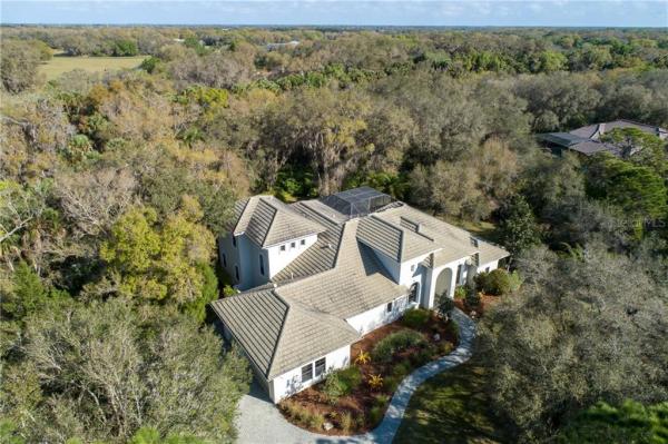FOREST AT THE HI HAT RANCH