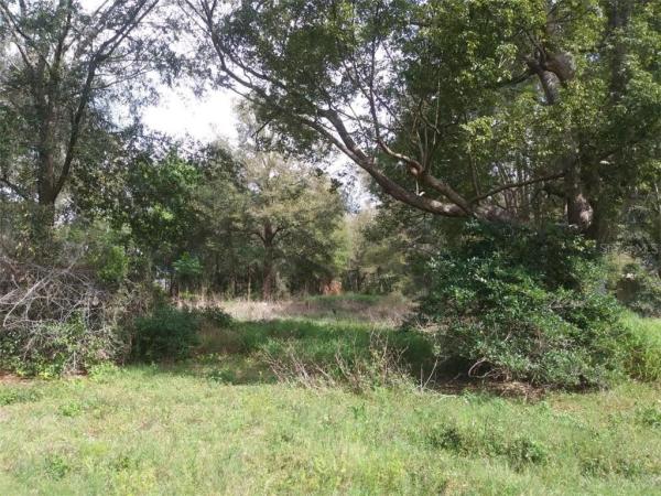 PIEDMONT ESTS 1ST ADD