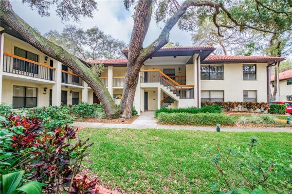 HAMMOCK PINE VILLAGE