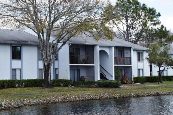 PINE RIDGE AT LAKE TARPON VILLAGE