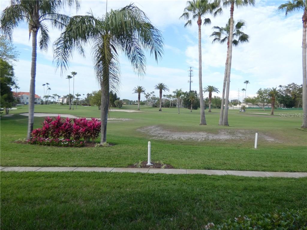 VISTA VERDE - фото