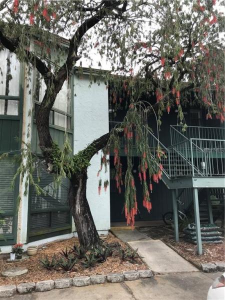 LEMON TREE CONDO SEC 01