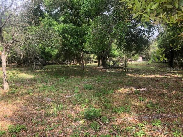 NORRIS DUPONT & GAUDRY GRANT