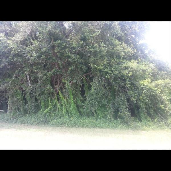 PORT CHARLOTTE SEC 017