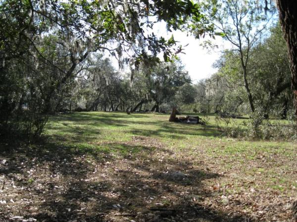 LAKE HIGHLANDS 16-22-26