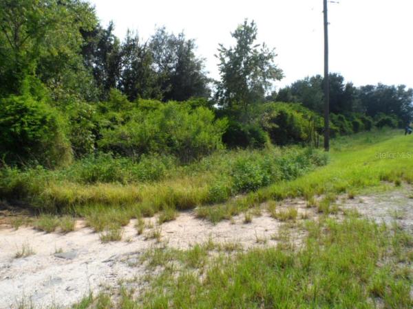 GROVELAND FARMS 32-22-25