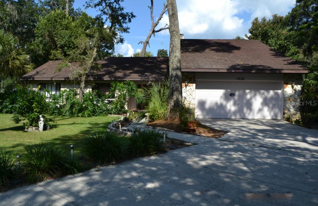 ROSEWOOD - фотография ROSEWOOD - фото