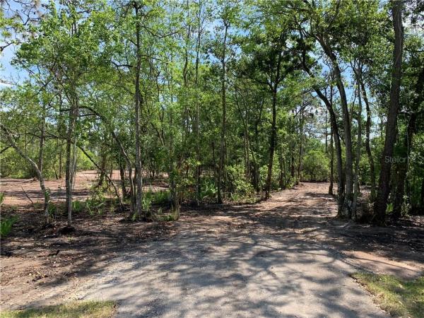 ST CLOUD MANOR ESTATES 03