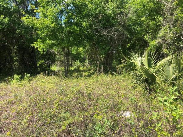 NORRIS DUPONT & GAUDRY GRANT