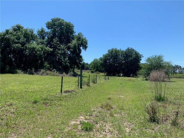 GROVELAND FARMS 35-22-24