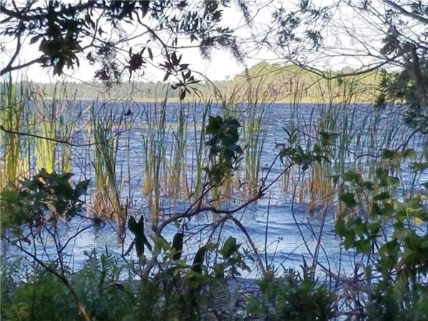 THE SEMINOLE LAND AND INVESTMENT COMPANY'S