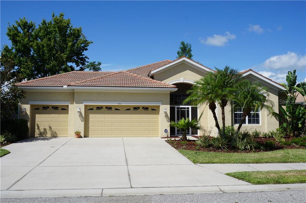 VILLAGES/PINE TREE SPRUCE PINE - фото