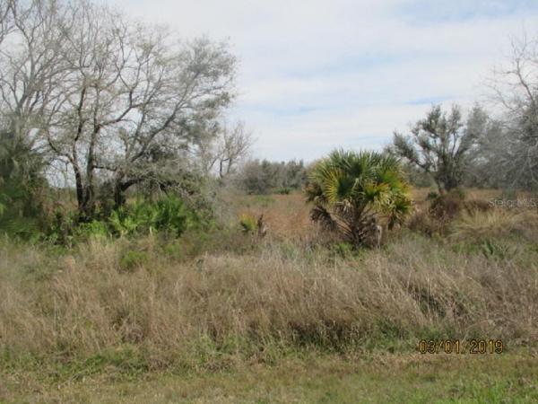 SOUTHERN COLONIZATION CO