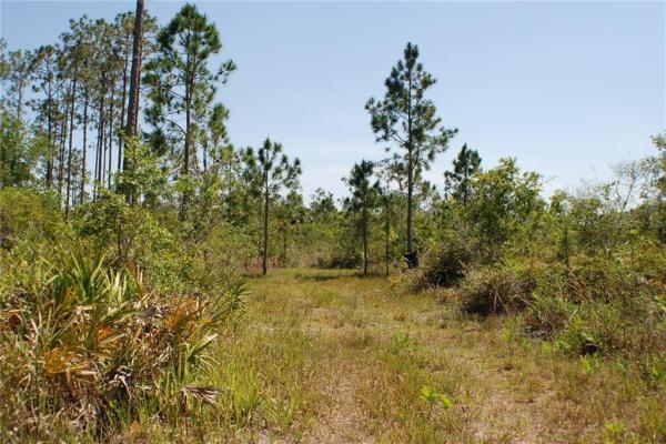 INDIAN HAMMOCK HUNT AND RIDING CLUB