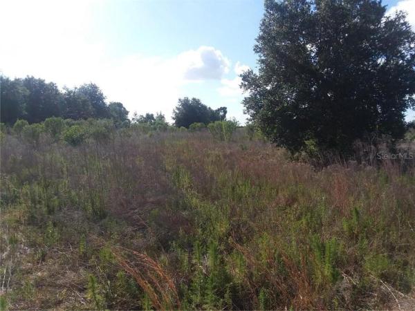 CROOKED CRK PLANTATION UN 01