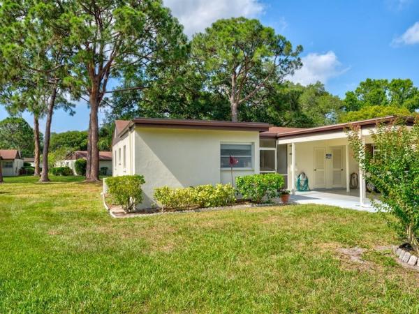 VILLAGE IN THE PINES 1