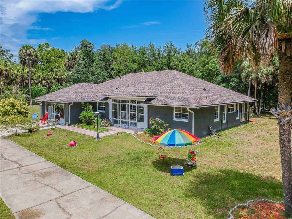 PALM HAMMOCK - фото