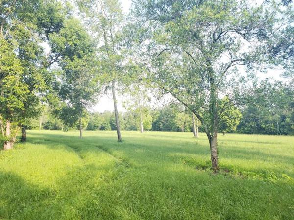 ZEPHYRHILLS COLONY CO