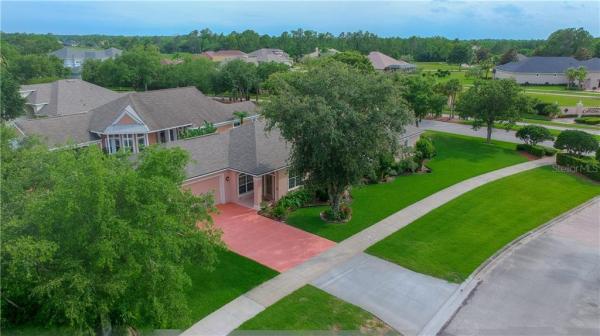 LIONSPAW ACCLAIM TR A