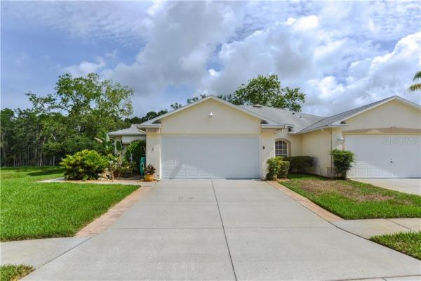 SUMMERTREE 01A PH 01