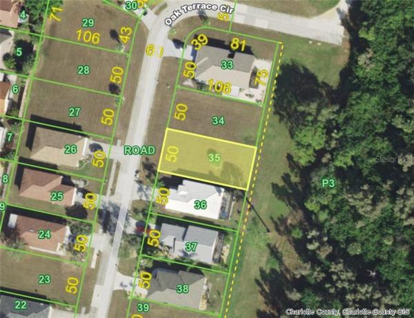 TREE TOPS AT RANGER POINT