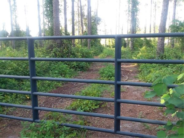 GROVELAND FARMS 33-22-25