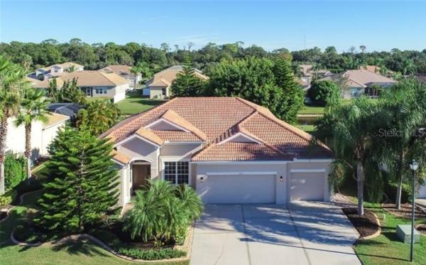 VILLAGES/PINE TREE SPRUCE PINE